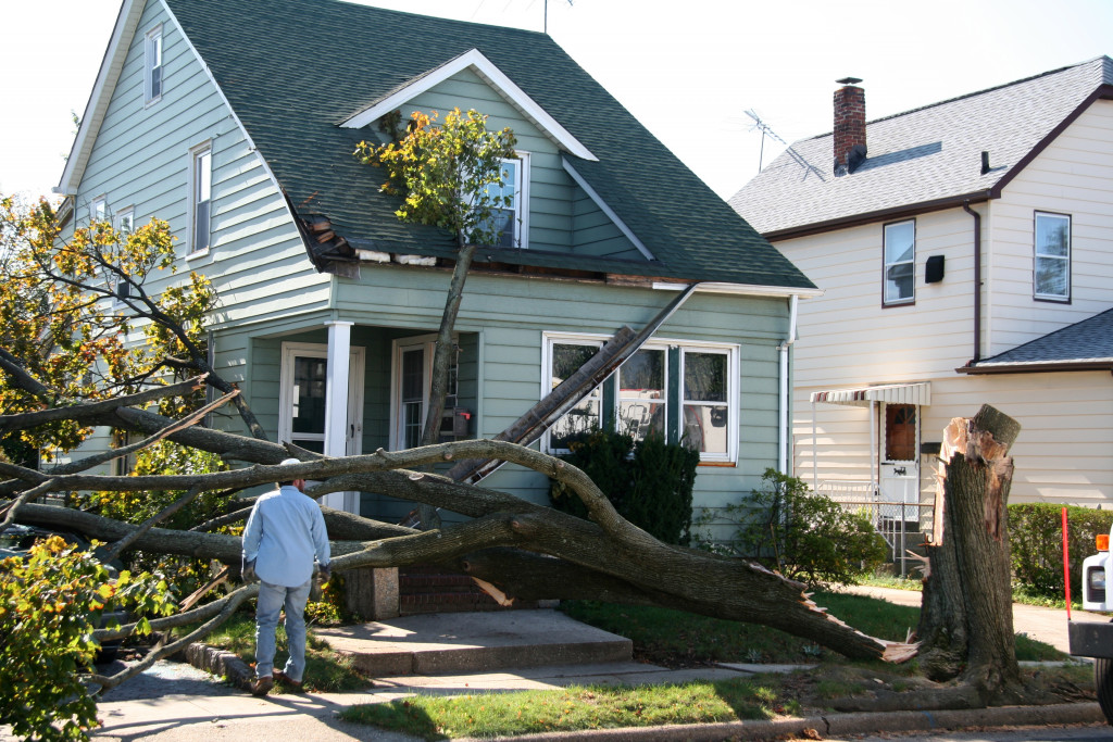 tree that fell down In front of a house